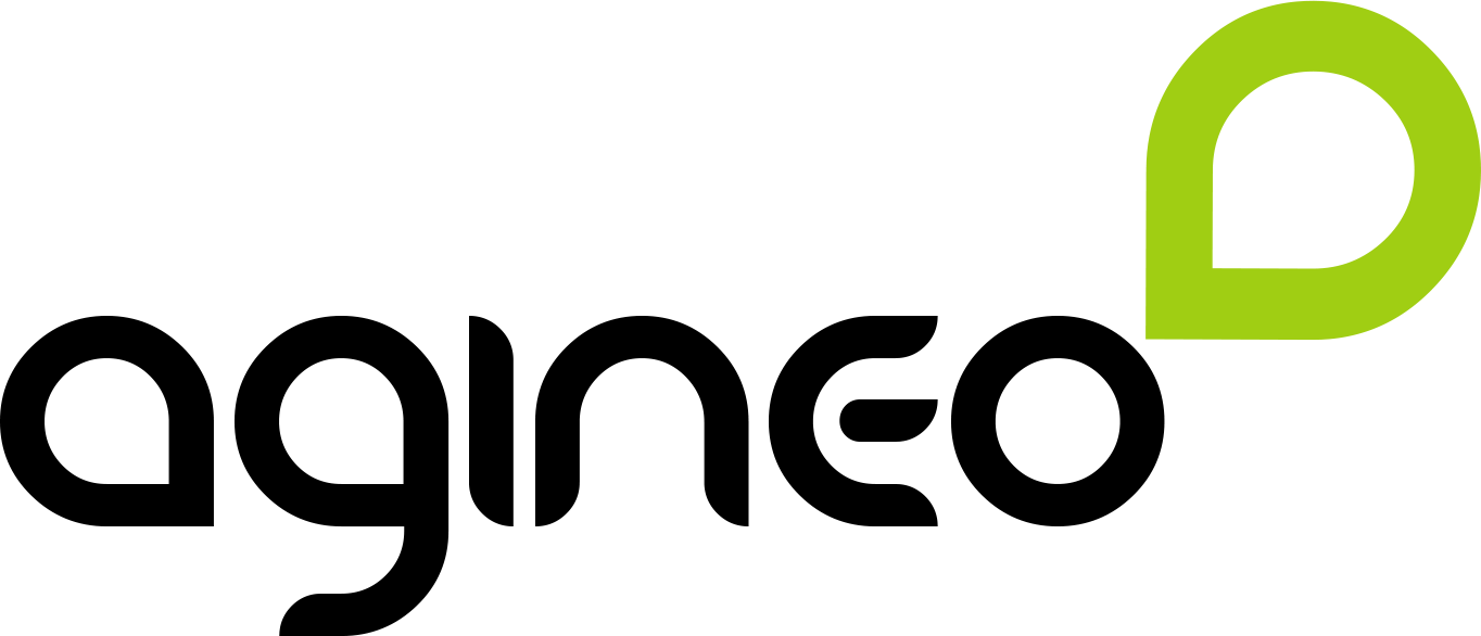 agineo - Ihr Partner für Enterprise Service Management - Logo schwarz