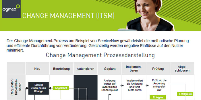 Screenshot vom agineo-Onepager "Change-Management-ITSM"