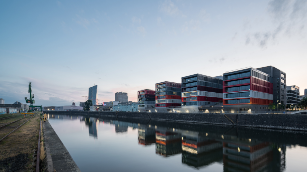 agineo-Standort in Frankfurt: The Docks
