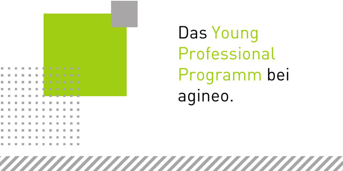 Das Young Professional Programm bei agineo