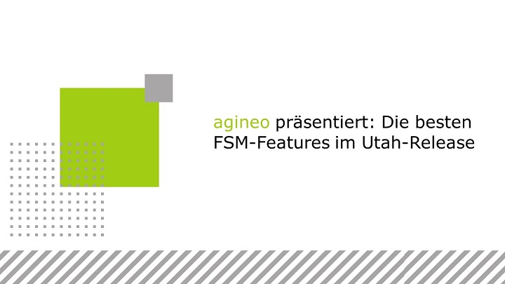 agineo präsentiert die FSM-Features im Utah-Release